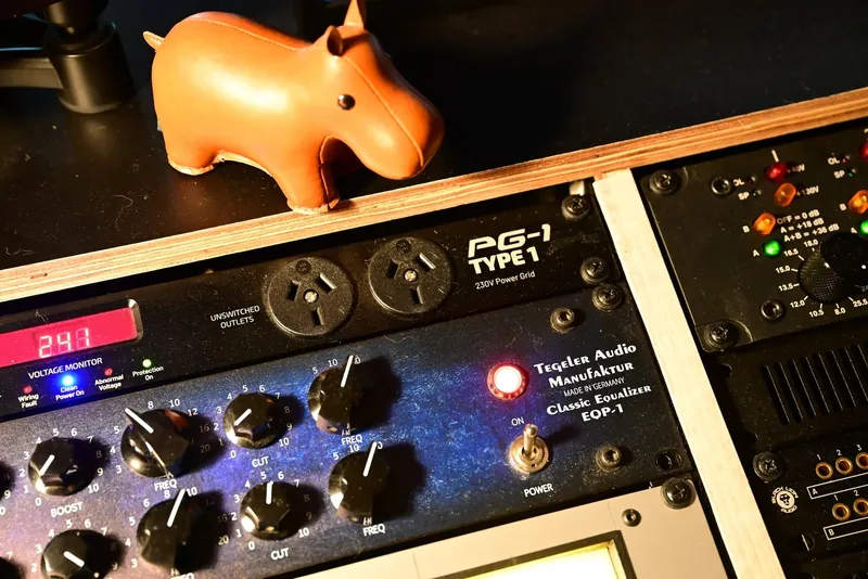 Rack gear with a toy hippo keeping watch